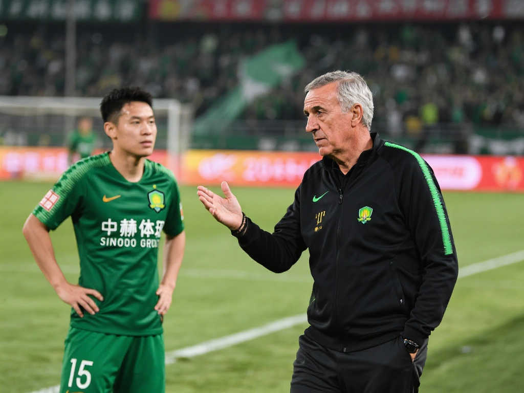 在最近的几 在最近的几