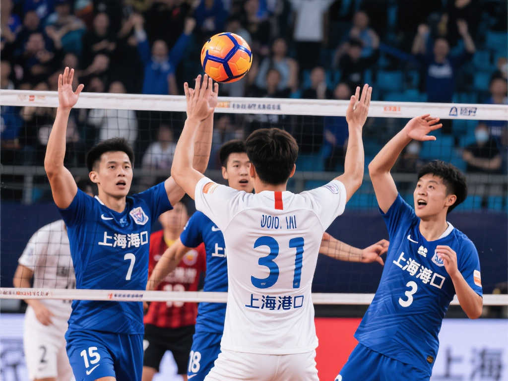 再到传球视 再到传球视